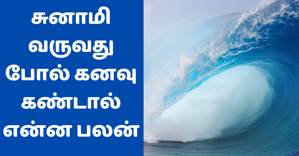 சுனாமி வருவது போல் கனவு கண்டால் என்ன பலன்